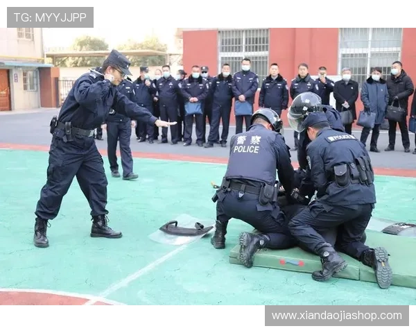 科学打造力量与耐力的系统化拳击训练计划全方位提升实战能力