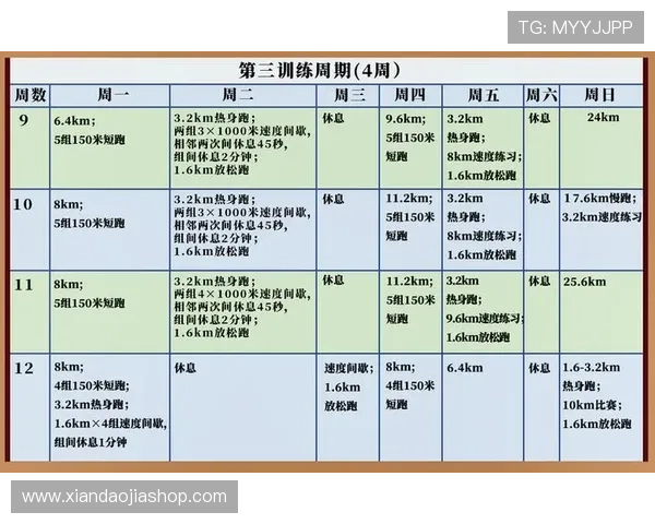 全面解析跨栏训练计划的速度力量耐力协调提升全方位综合实用指南